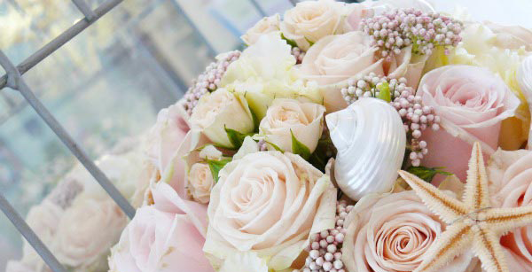 推薦文#55 新娘Emily